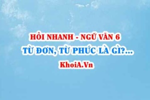 Từ đơn là gì, từ phức (từ ghép, từ láy) là gì? lấy ví dụ? Ngữ Văn lớp 6